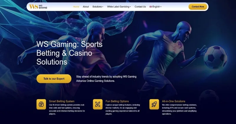 WS Sports - Unique Benefits for Every Player